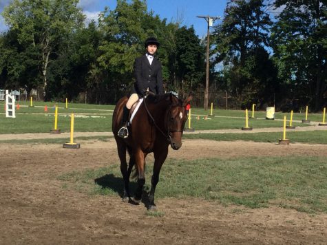 Equestrian team qualify for regionals