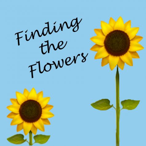 Finding the flowers: Gaining maturity by learning from parents