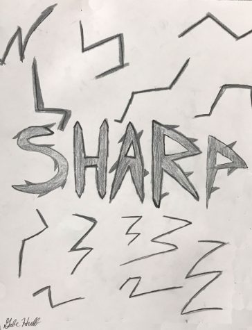 Sharp by Gabe Huff