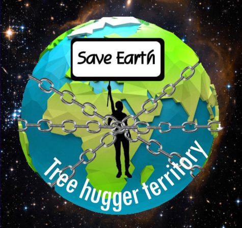 Tree hugger territory: Saving bee’s to ensure a healthy environment