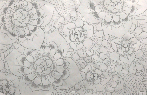 Garden by Amelia Hilliard