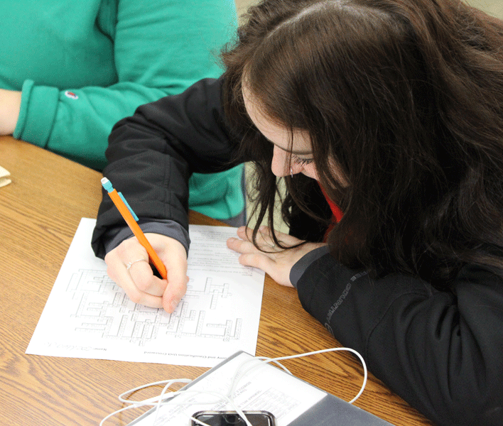 Sophomore Anna Sayers works on a biology worksheet in Mrs Rebecca Kellys classroom.
