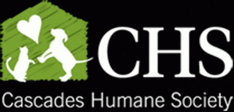 Relieve your stress with cats and dogs