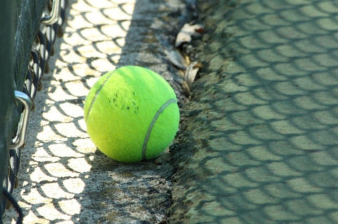 Board approves replacing old tennis courts