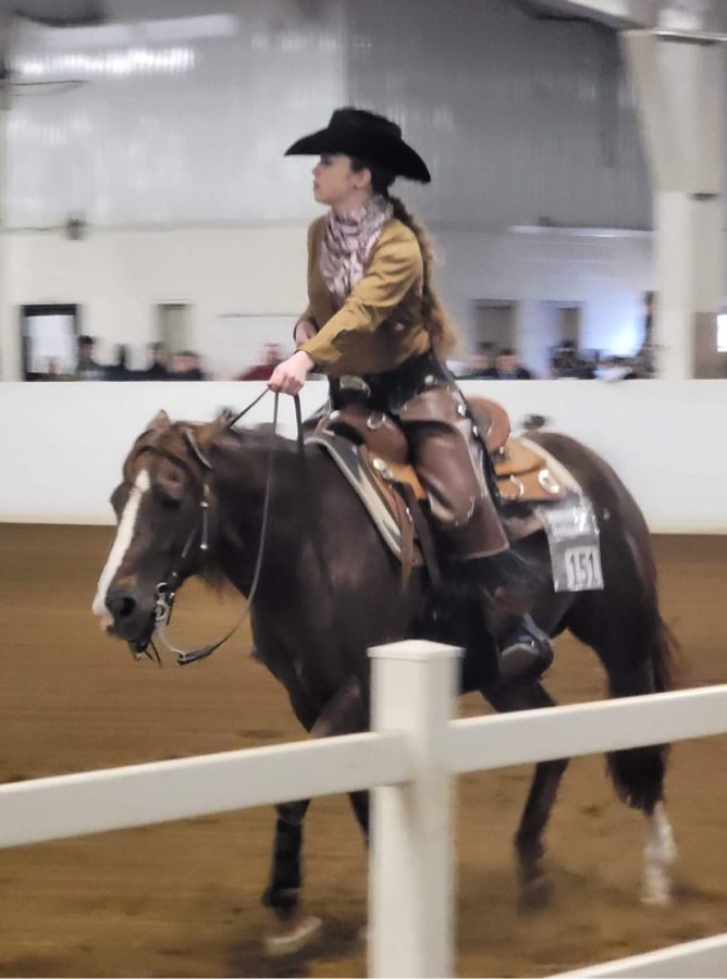 Fellow equestrian competes in a Regional competition with a horse named SwissMiss. 