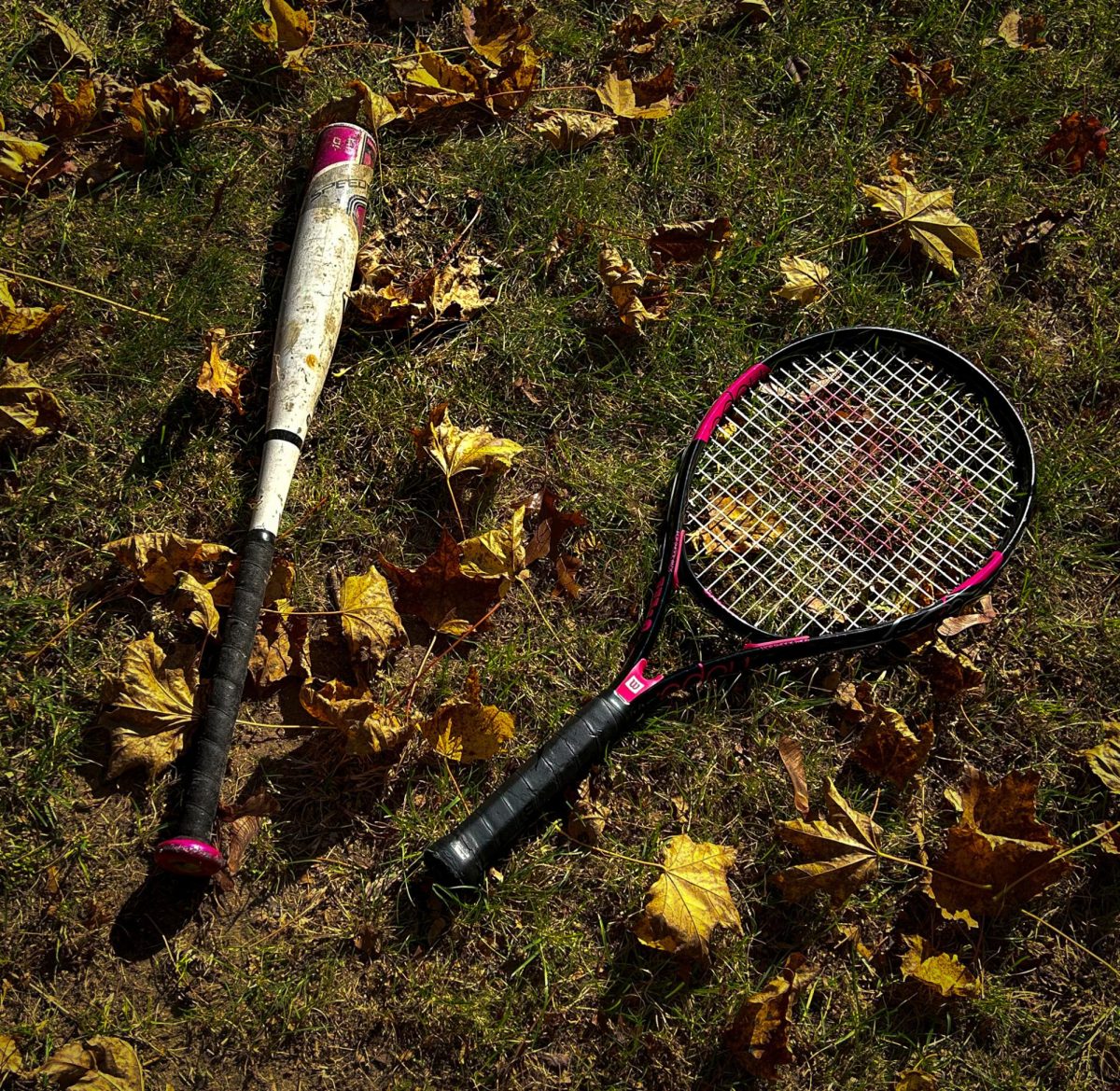 Tennis racket and Bat laying on leaves