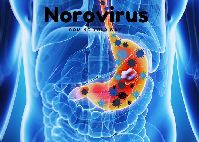 Norovirus + its effects