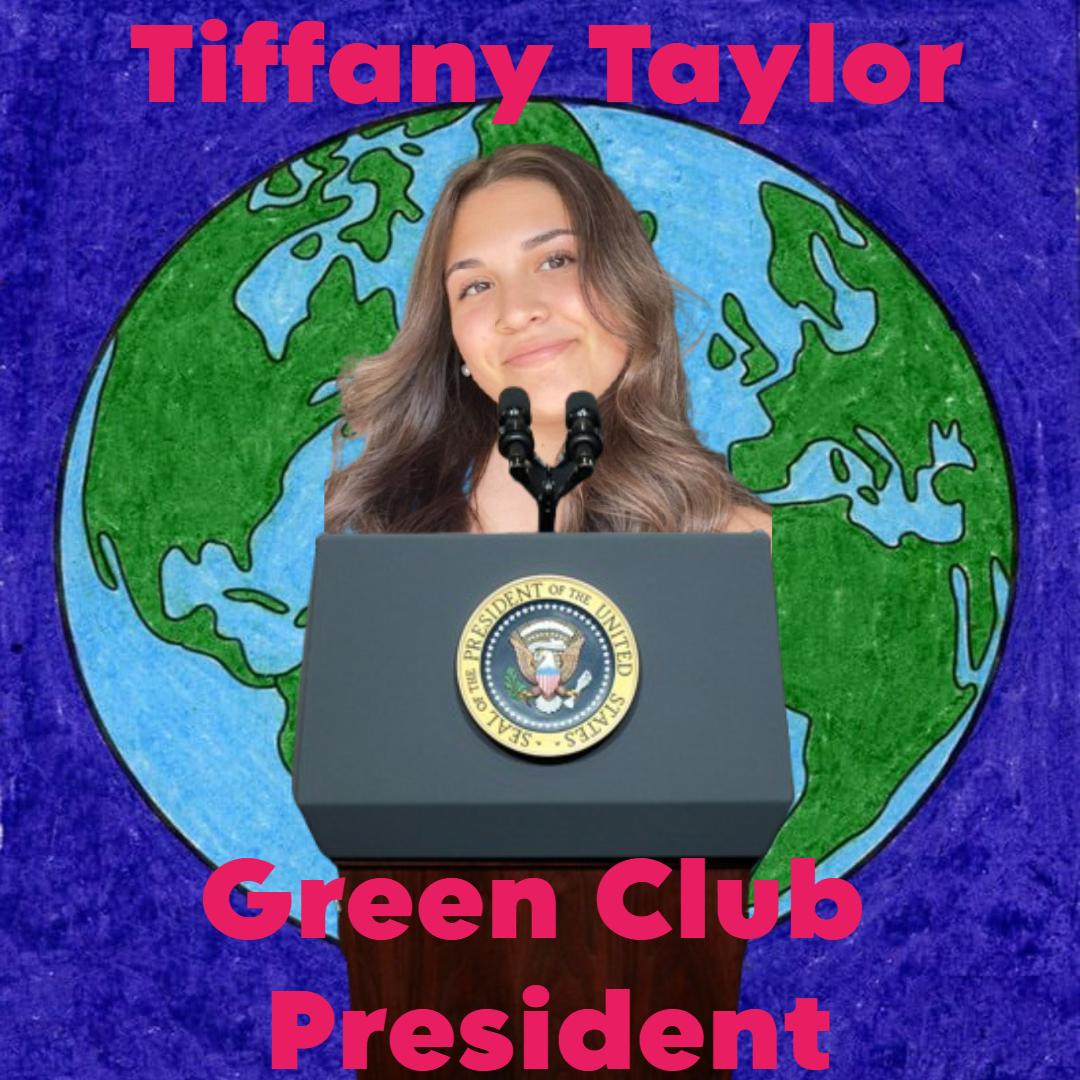 Tiffany Taylors campaign poster.