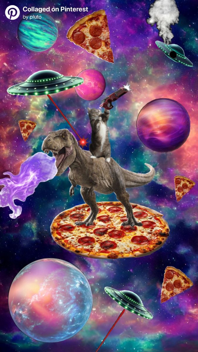 Collage made by Pluto Ernsberger 