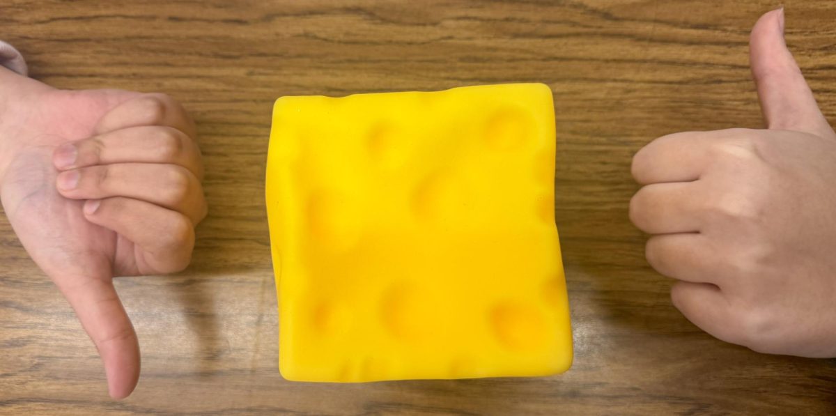 Are squishy's worth the craze?