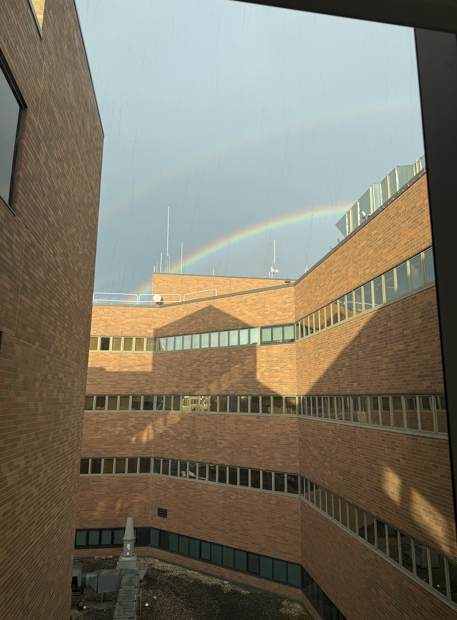 Outside of Henry Ford, Allegiance displayed two rainbows after a long day of showers. (Deanna Stover)
